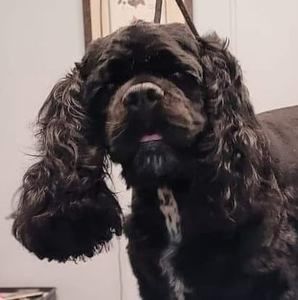 Meet your Posher, Teri